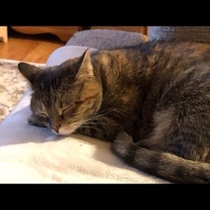 Meet your Posher, Adrienne